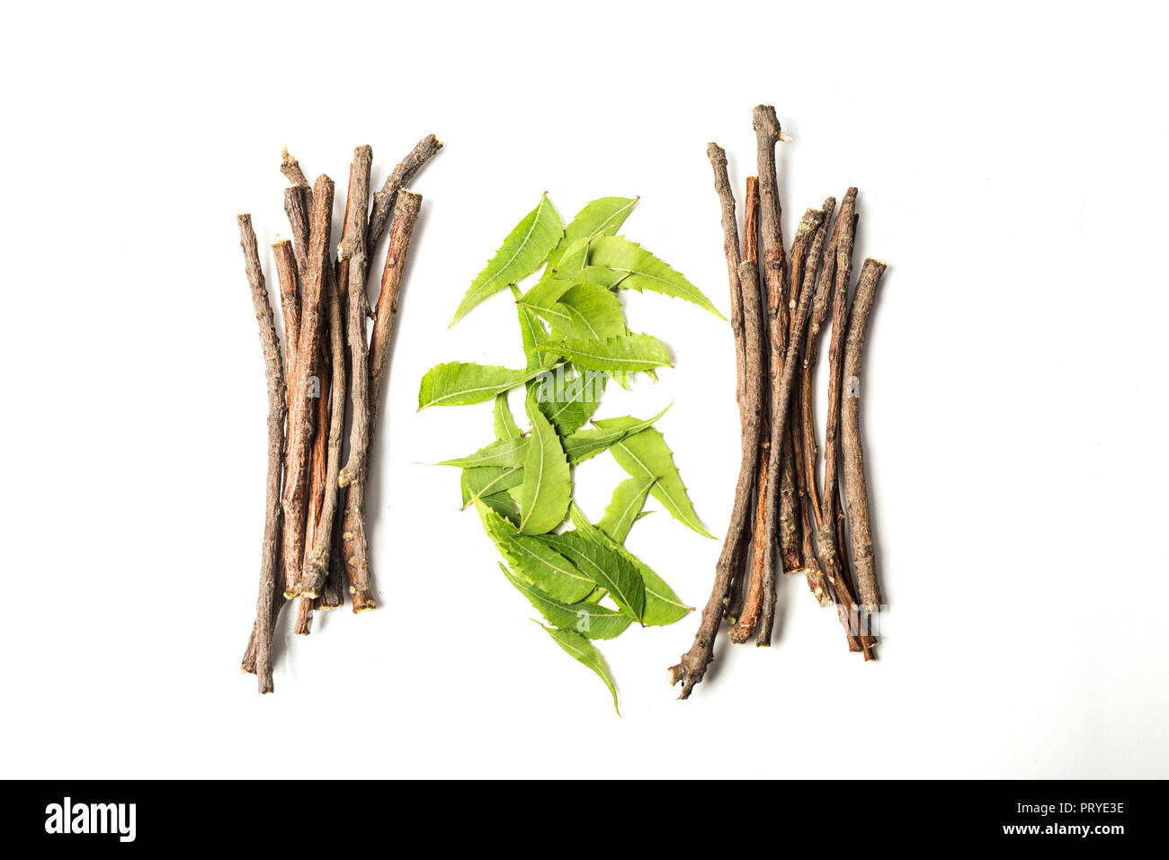 Neem wood with neem leaves in center. Isolated on white background Stock Photo Alamy