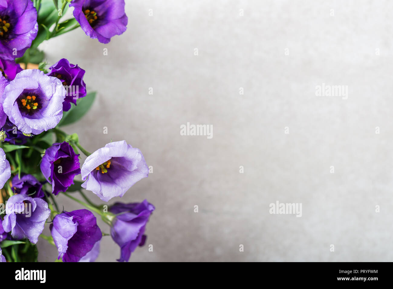 Beautiful Bouquet of Purple Eustoma flowers, Lisianthus, light background Stock Photo