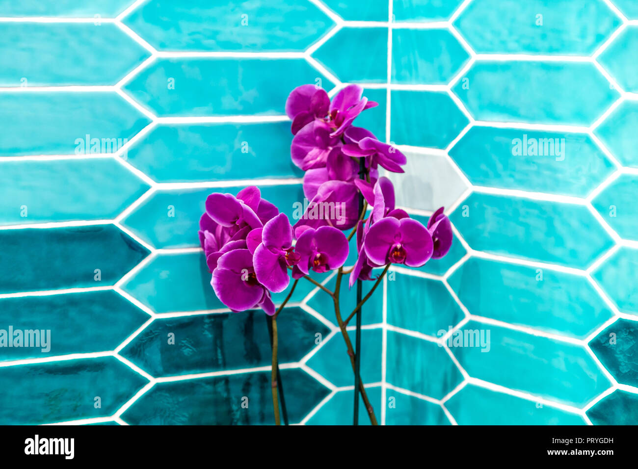 purple orchid on background of squared mosaic tiles Stock Photo