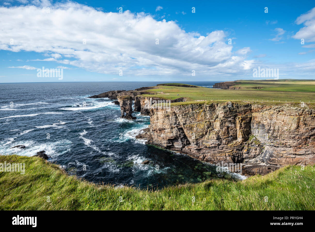 The cliffs of Yesnaby with the 35m high surf pillar, called Yesnaby Castle Sandwick, Mainland, Orkney Islands, Scotland Stock Photo