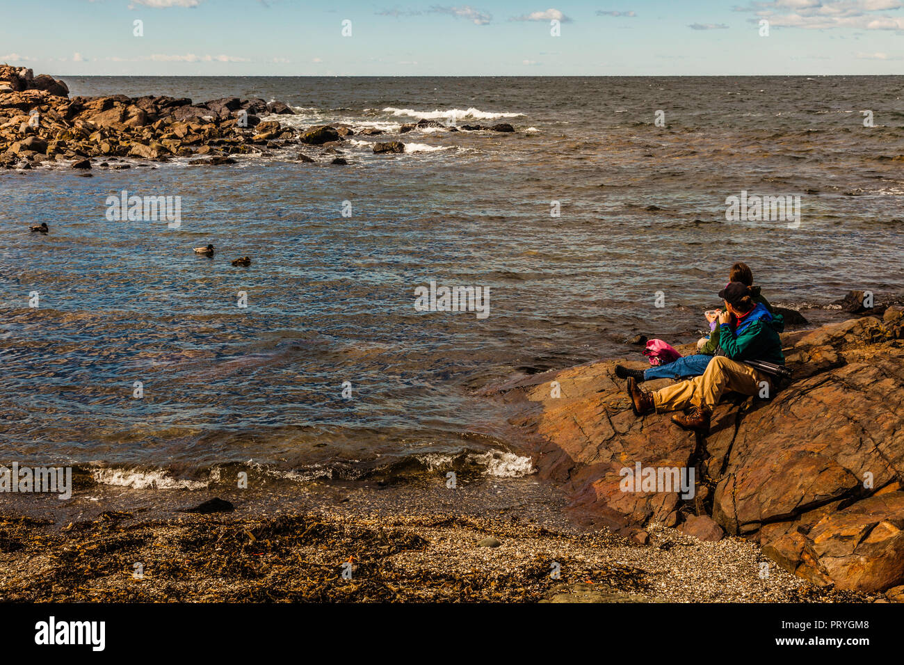 Little lobster hires stock photography and images Alamy
