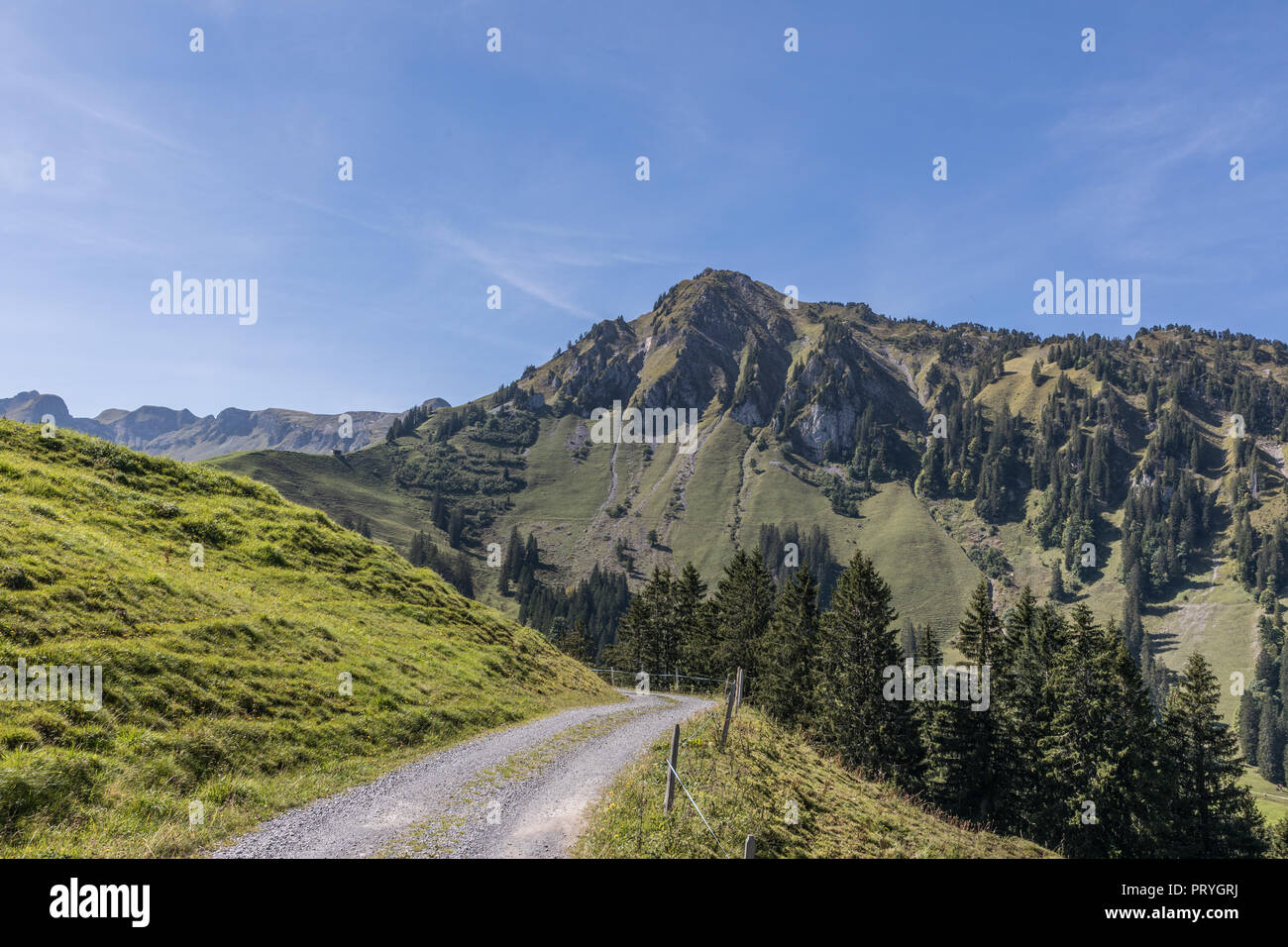 Hiking trail with view of Mount Arvigrat, Nidwalden, Switzerland Stock Photo