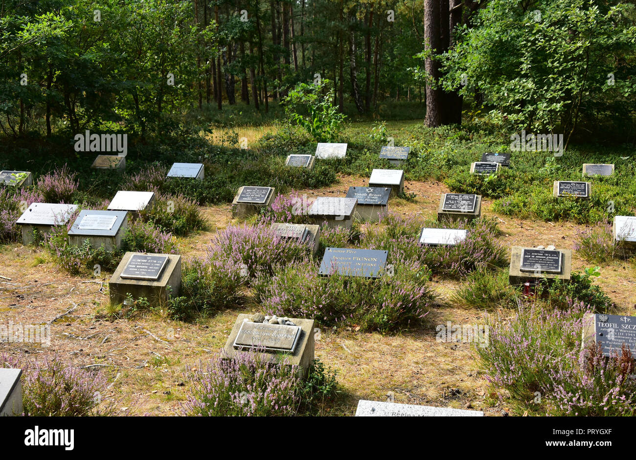 Graves, Concentration Camp Memorial Bergen-Belsen, Lower Saxony, Germany Stock Photo