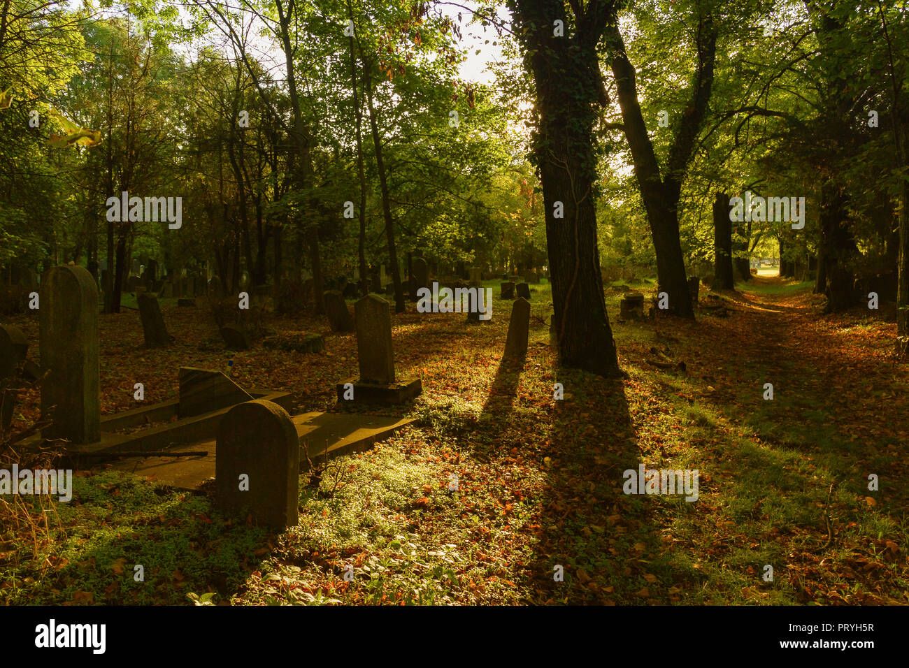Graveyard Stock Photo