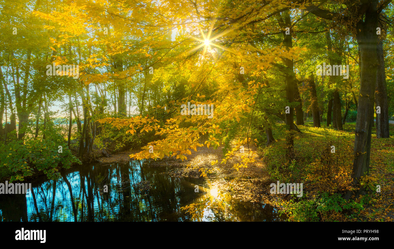 Autumn sun Stock Photo
