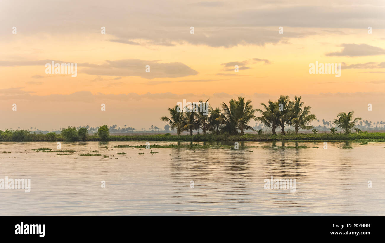 Kerala backwaters seen from a house boat. Stock Photo