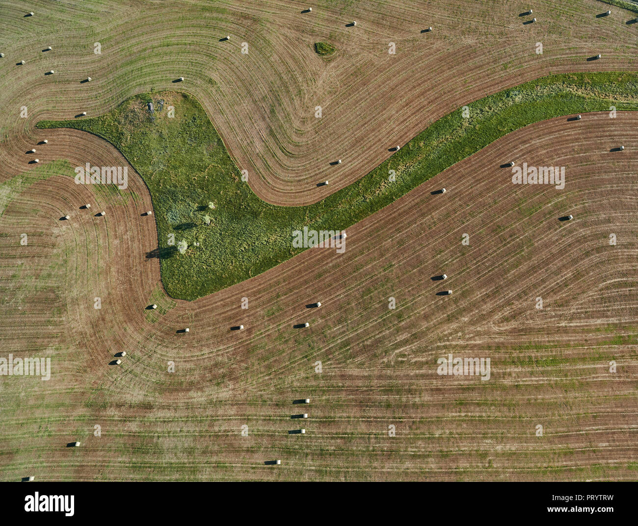 USA, Aerial of contour farming and hay bales in Montana Stock Photo