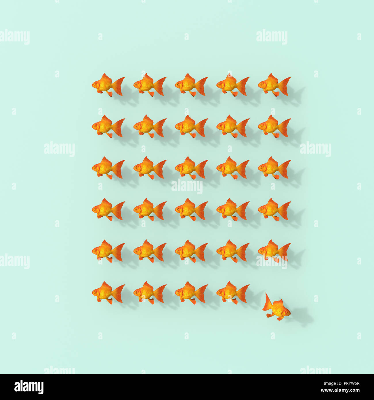 3D rendering, Rows of goldfish on green backgroung with fish leaving the group Stock Photo