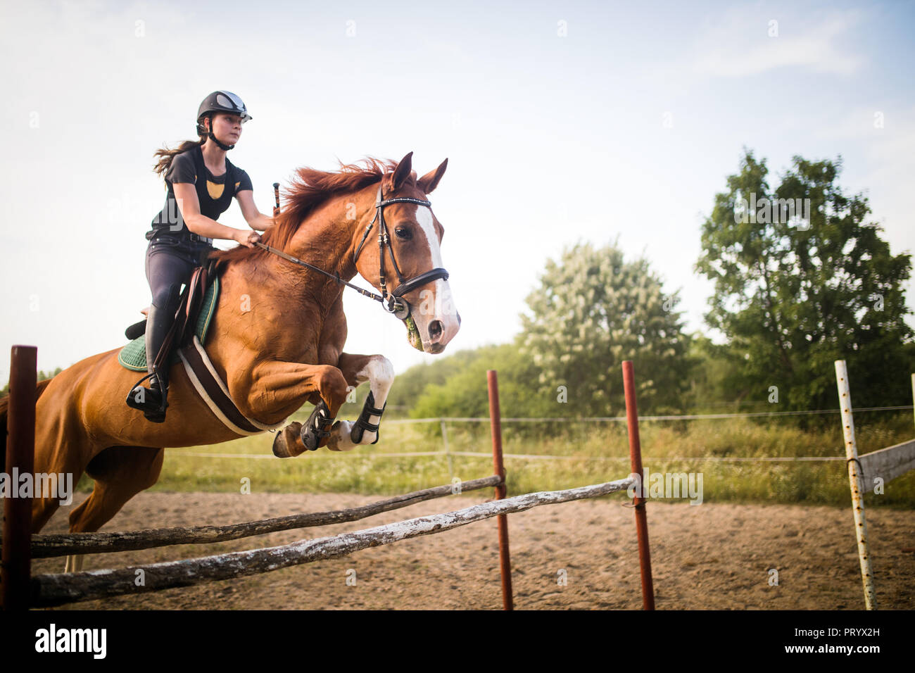 Young female jockey on horse leaping over hurdle Stock Photo