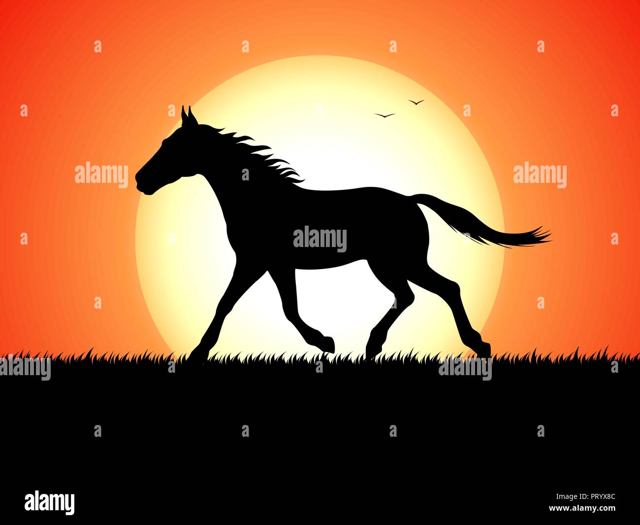Silhouette of a running horse on sunset background Stock Vector
