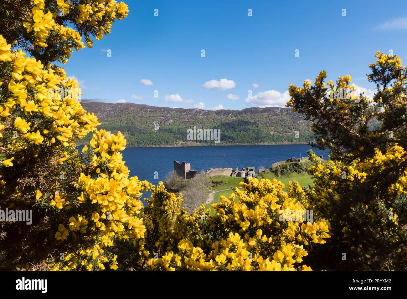 UK, Scotland, Loch Ness, Drumnadrochit, Urquhart Castle Stock Photo