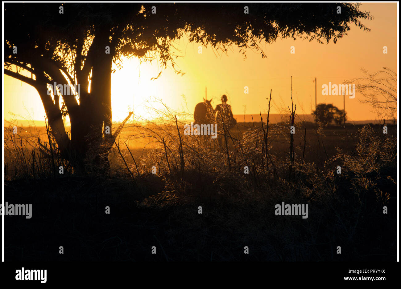 Coucher De Soleil Stock Photos Coucher De Soleil Stock