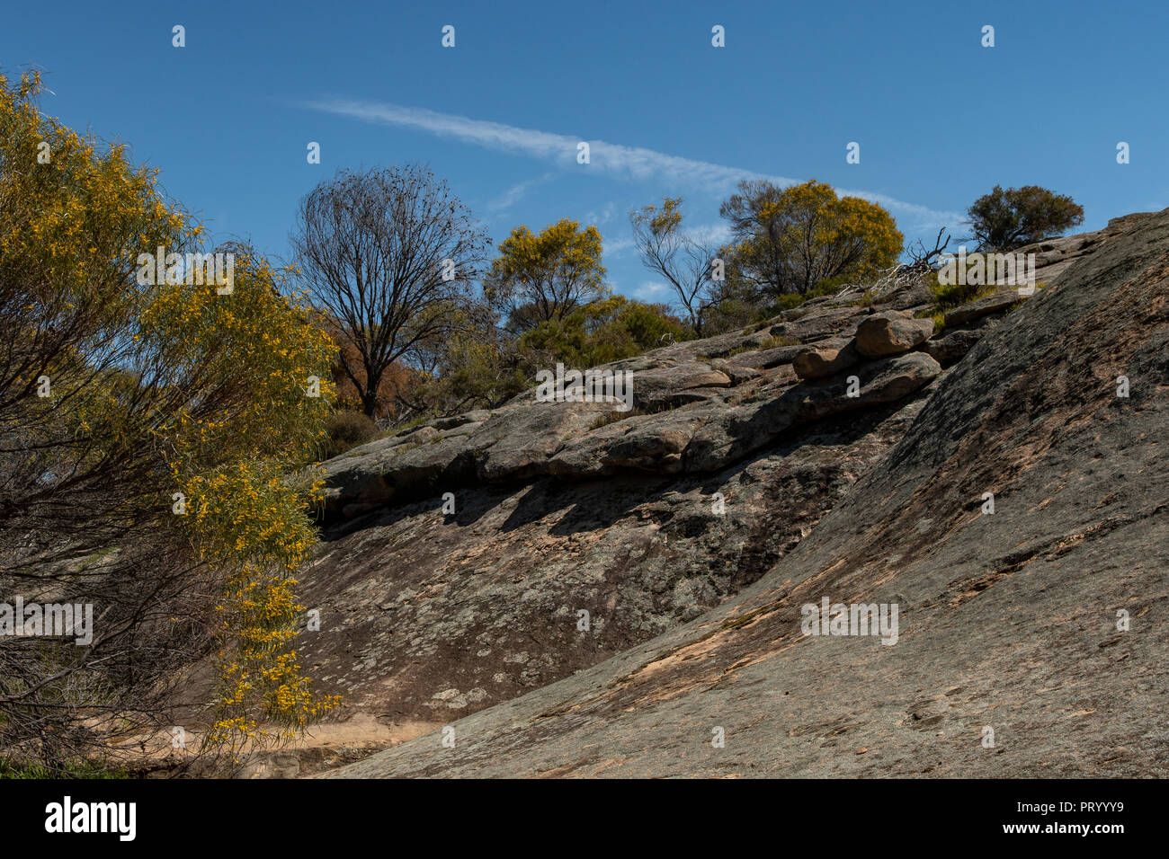 Wave Rock at Hidden Hollow Rock, Mt Walker, WA, Australia Stock Photo ...