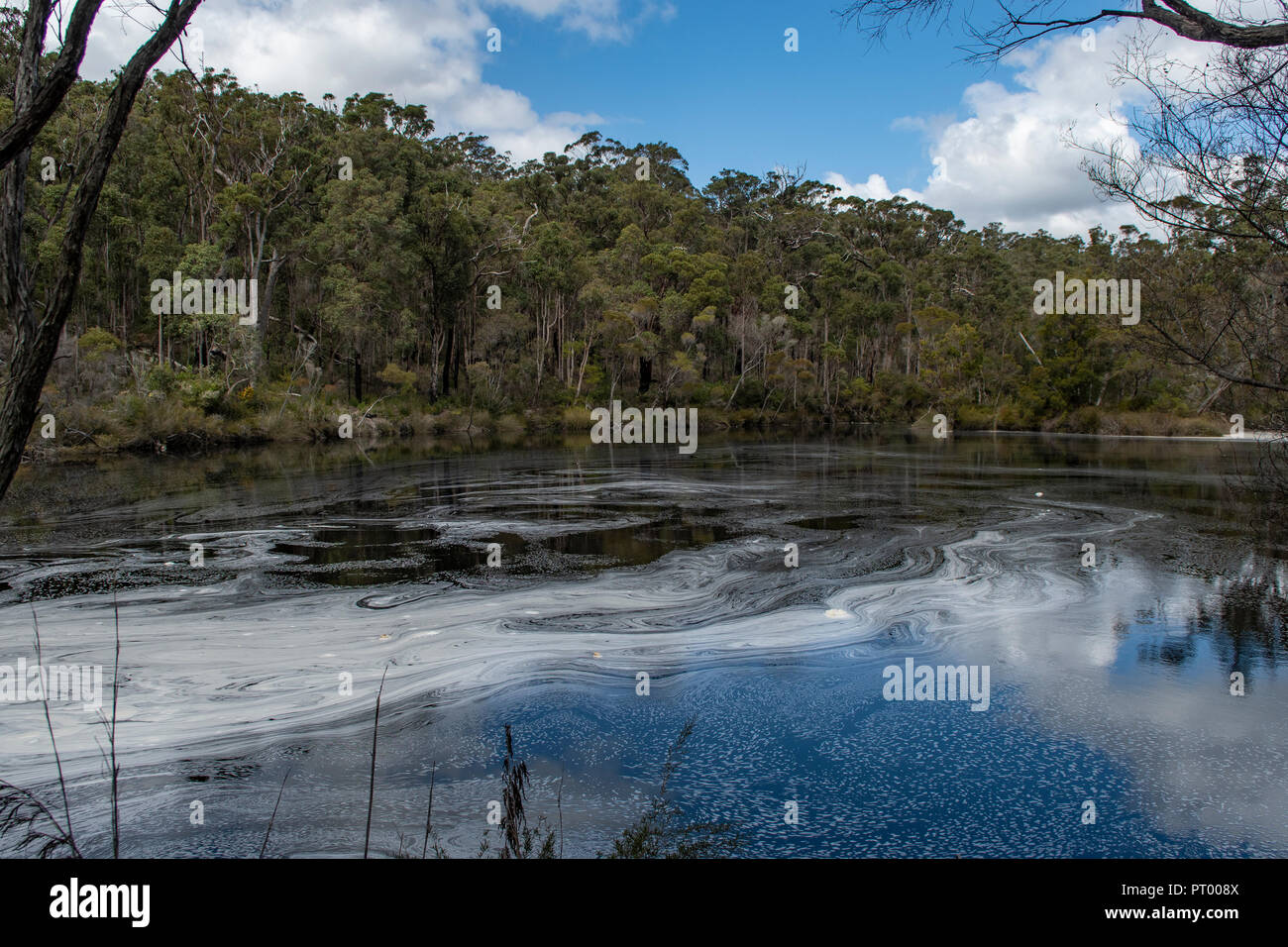 Rowells Pool, Mt Frankland National Park Stock Photo
