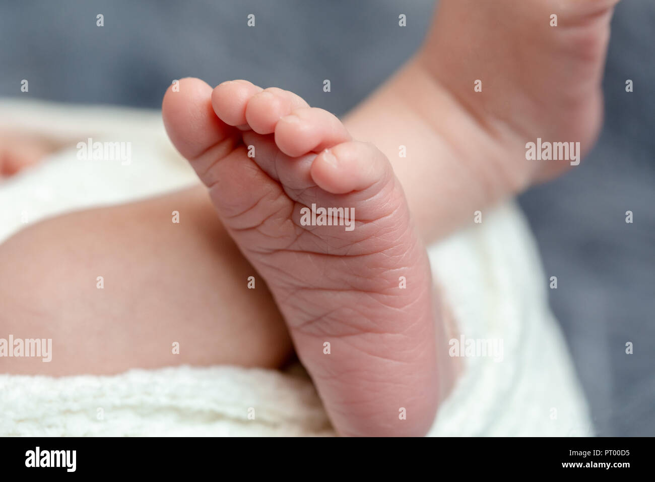 Close-up of small baby legs. The sleeping Newborn boy under a white knitted blanket lies on the blue fur. Stock Photo