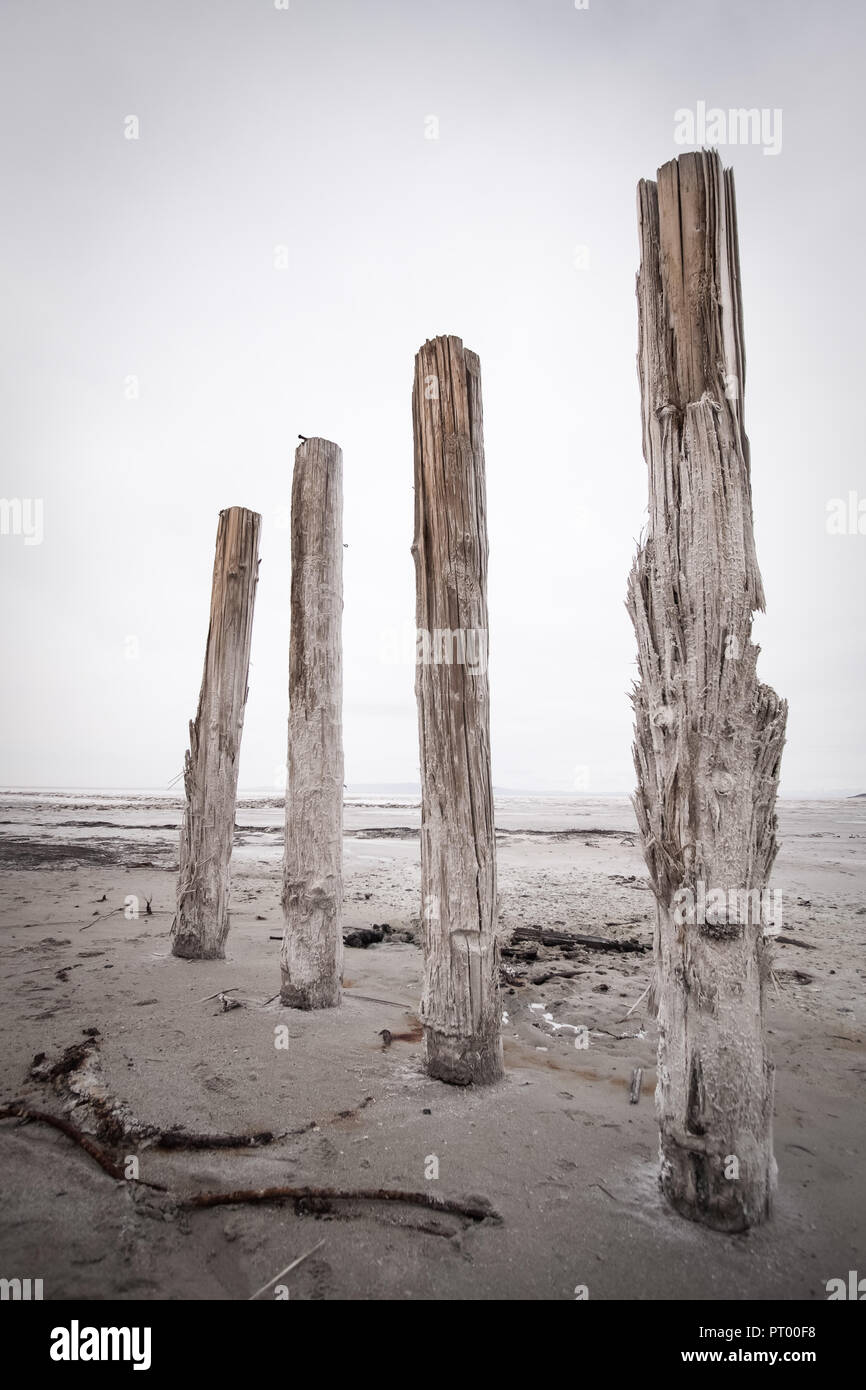 The rotting wood posts of an old pier on the Great Salt Lake stand in grey mud under grey skies. Stock Photo