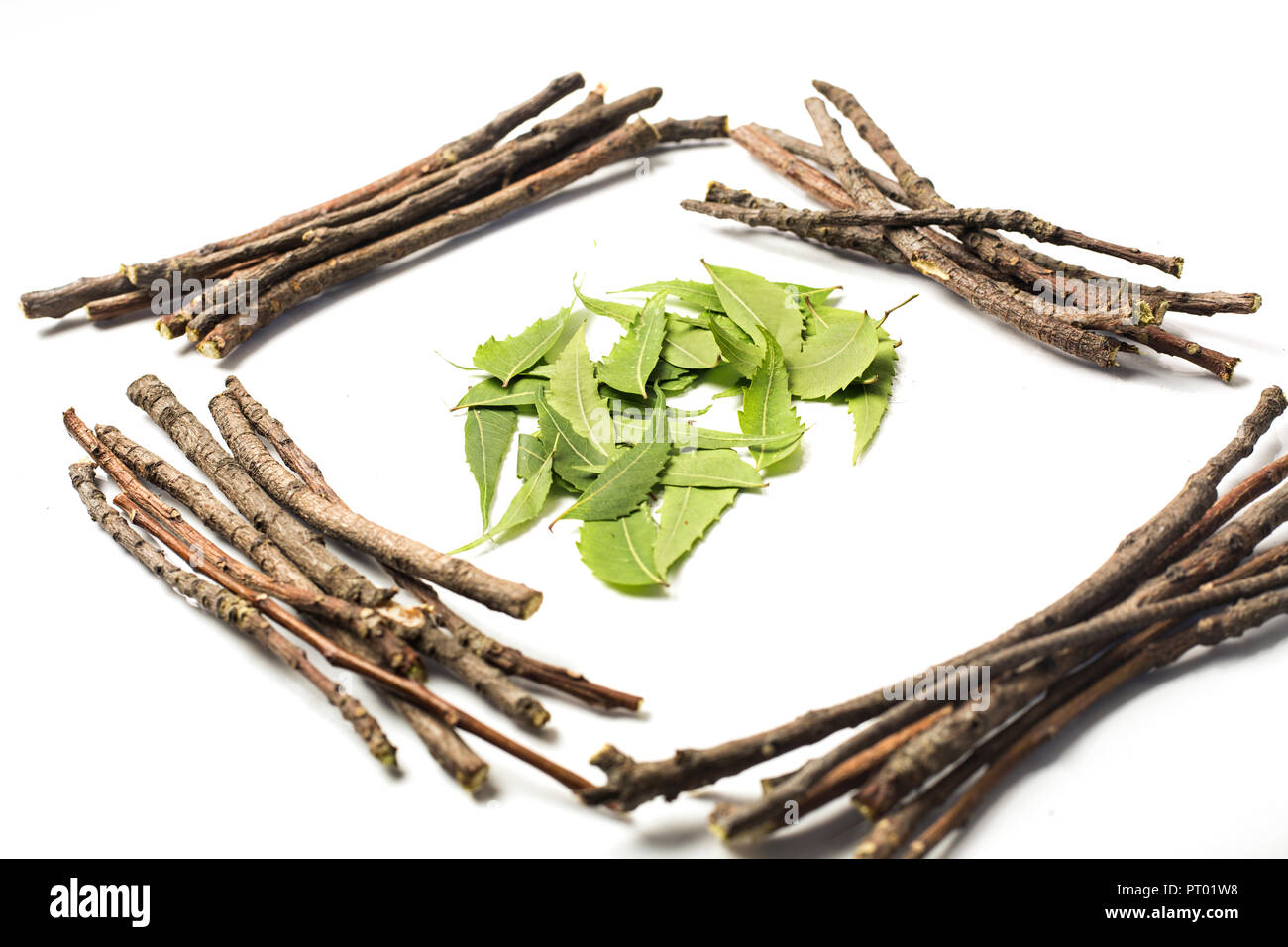 Diamond shape of neem wood with neem leaves in center. Isolated on white background Stock Photo