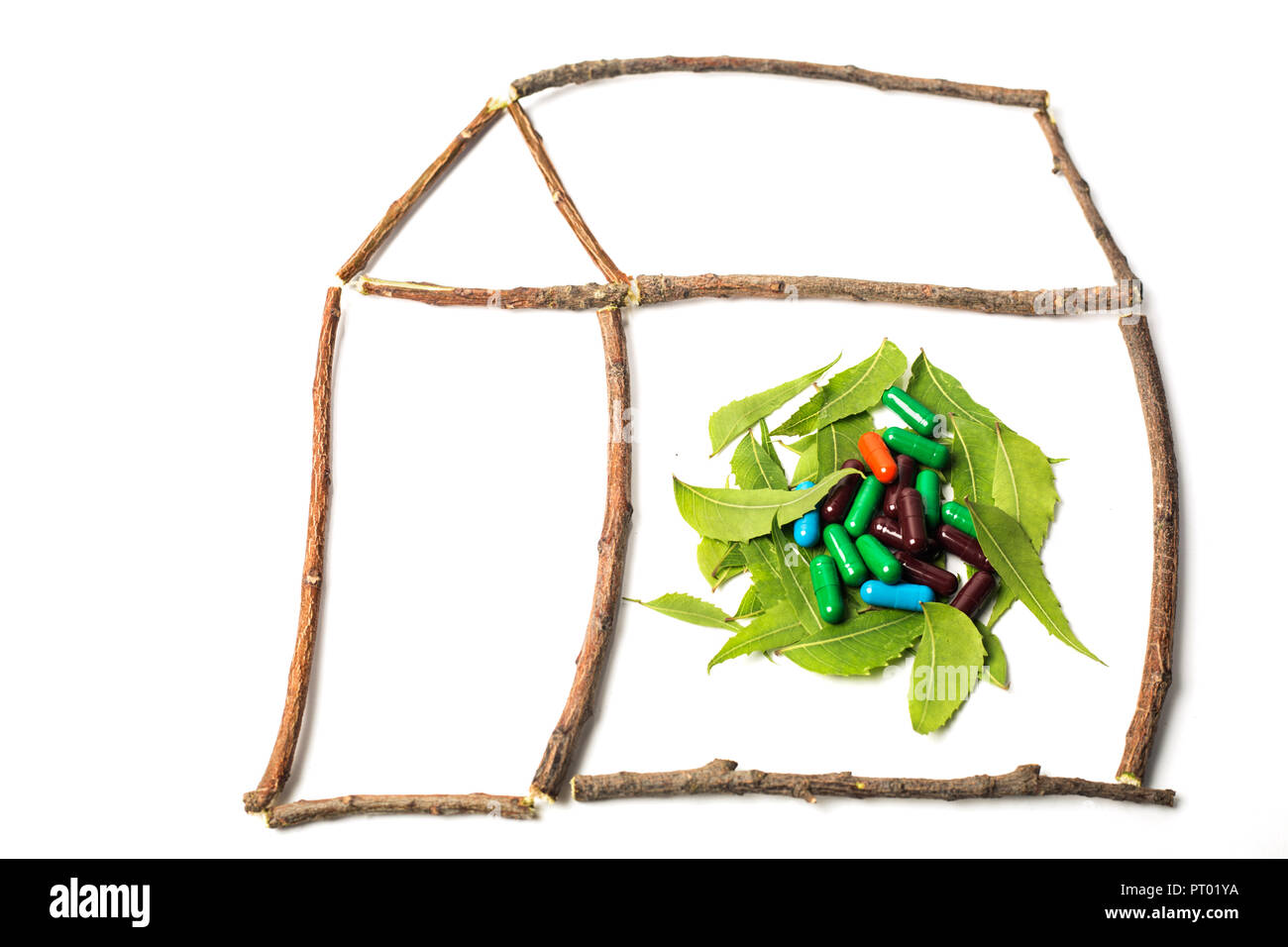 Home shape of neem wood with neem leaves and colorful herbal tablets in center. Isolated on