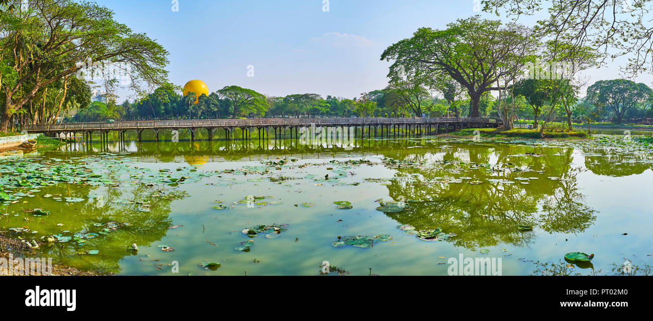 Enjoy Kandawgyi park, walking around its lake, reflecting sprawling trees and old timber bridge, Yangon, Myanmar. Stock Photo