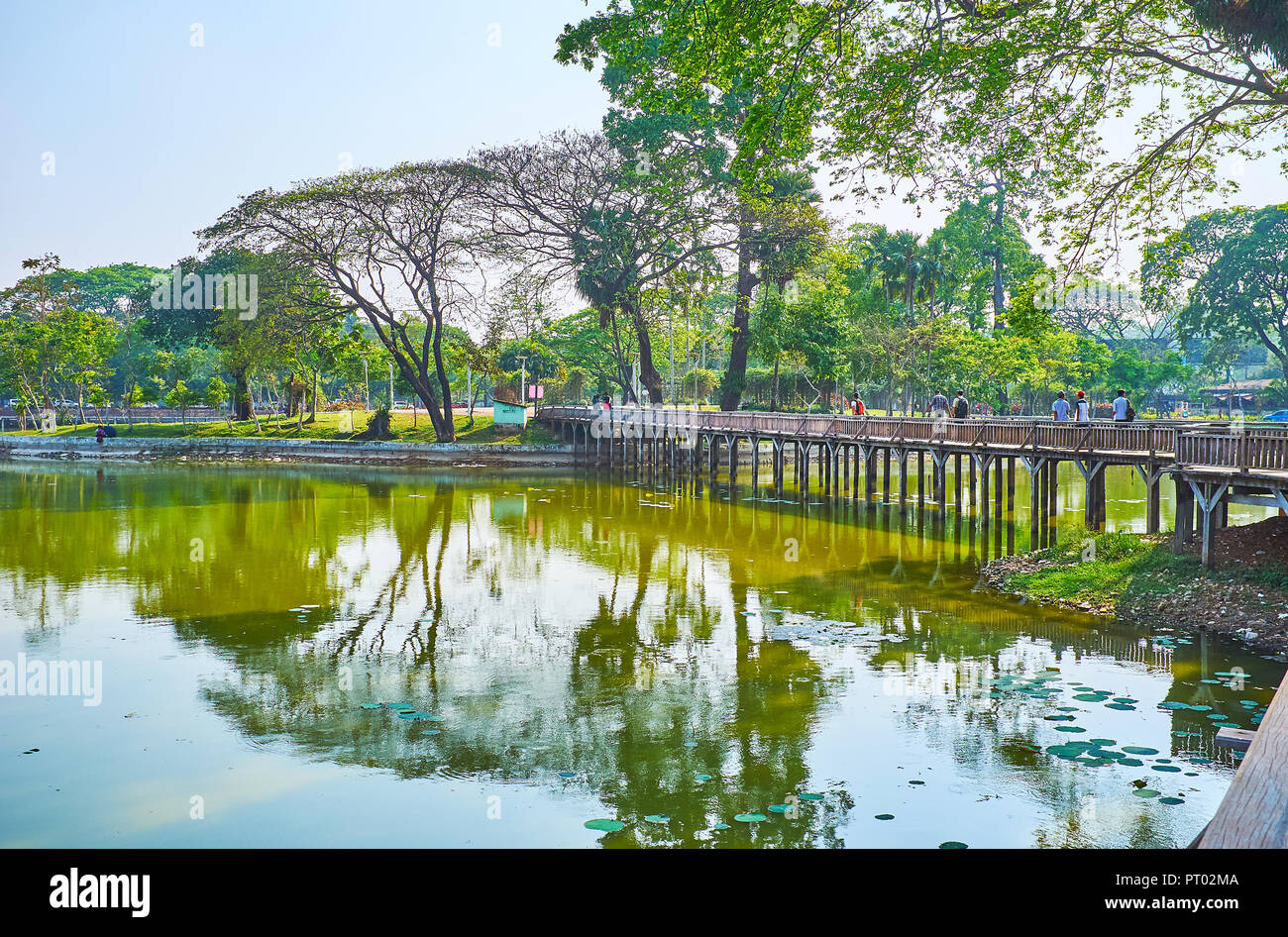 Kandawgyi Lake is one of the major city lakes, it's surrounded by lush green nature park with old spreading trees, attraction zones and cafes, Yangon, Stock Photo