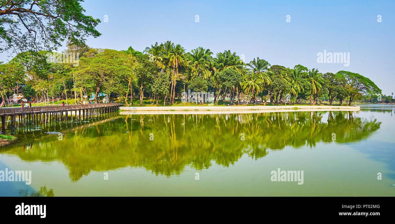 Panorama of lush greenery - tall palms and spreading trees stretch along the bank of Kandawgyi Lake, Yangon, Myanmar. Stock Photo