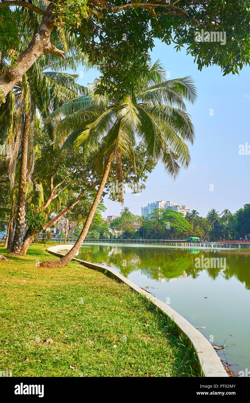 Walk in shade of trees of Kandawgyi Park, enjoying refreshing air from the lake, Yangon, Myanmar Stock Photo