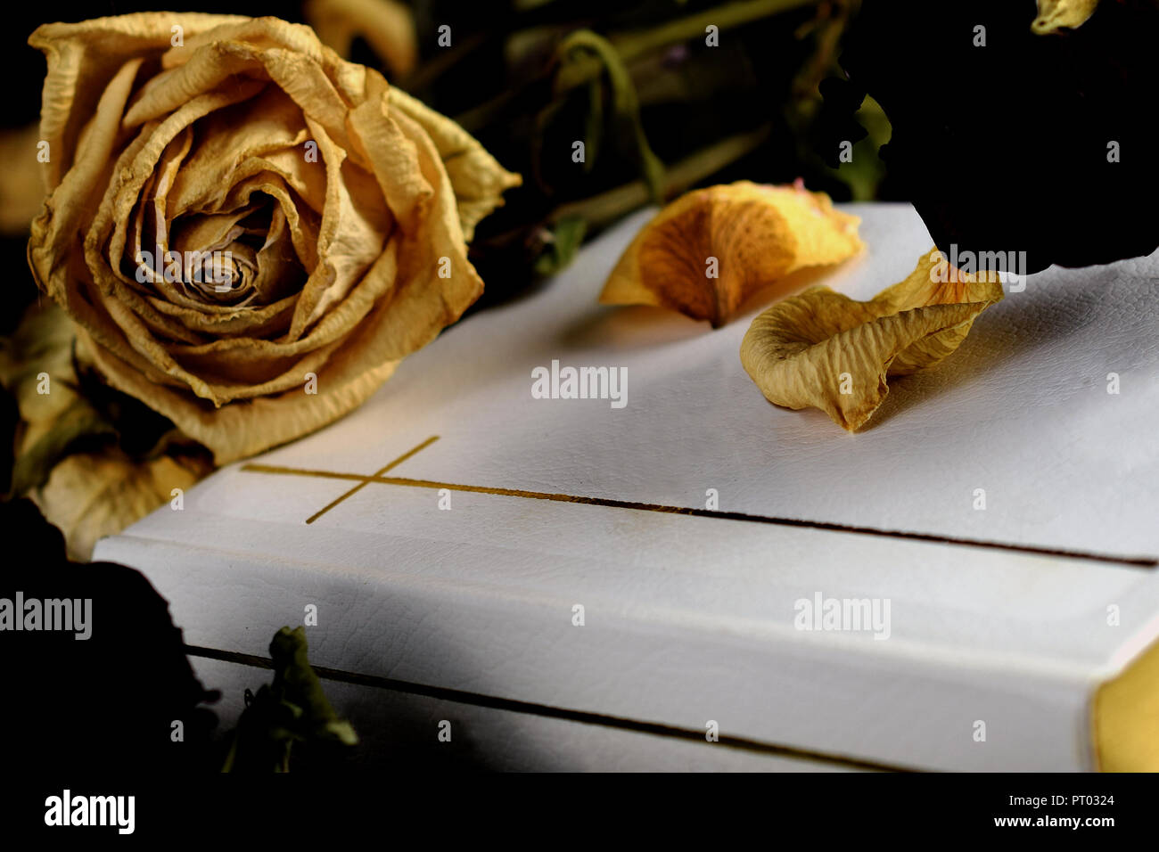 White Holy Bible, faded flowers and dry petals close up. Conceptual image of death, remembrance and funeral. Stock Photo
