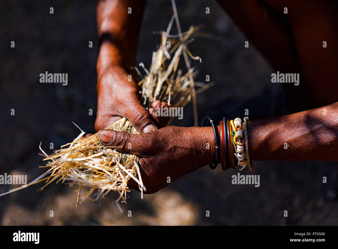 Ein alter Mann mit markanten Händen sammelt in Namibia Stroh, um auf traditionelle Weise Feuer zu machen Stock Photo