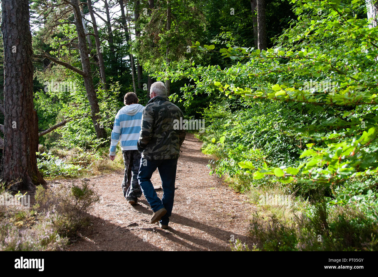 Father and son hiking in forest. Looking at map Stock Photo - Alamy