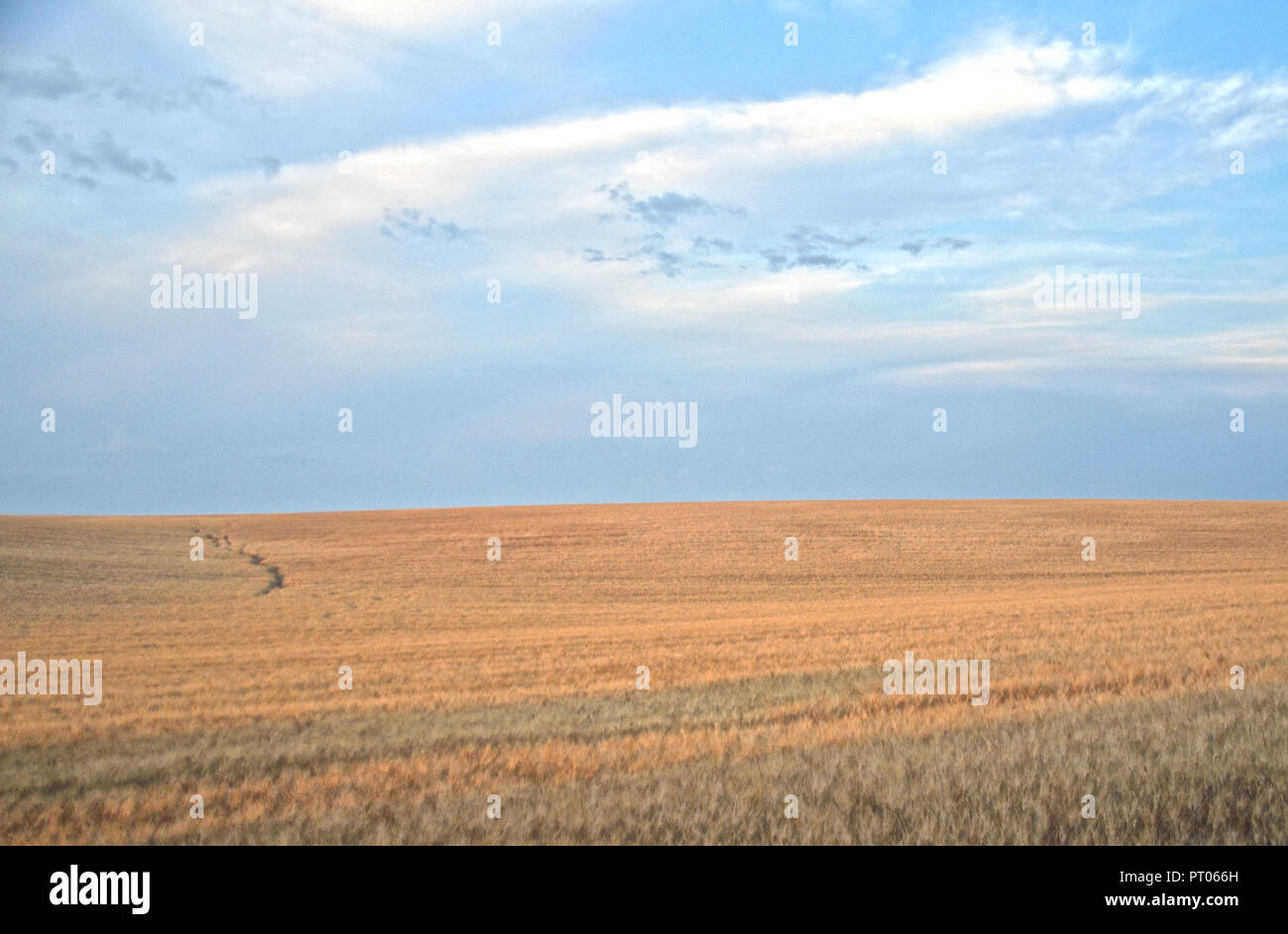 Cielo azzurro hi-res stock photography and images - Alamy