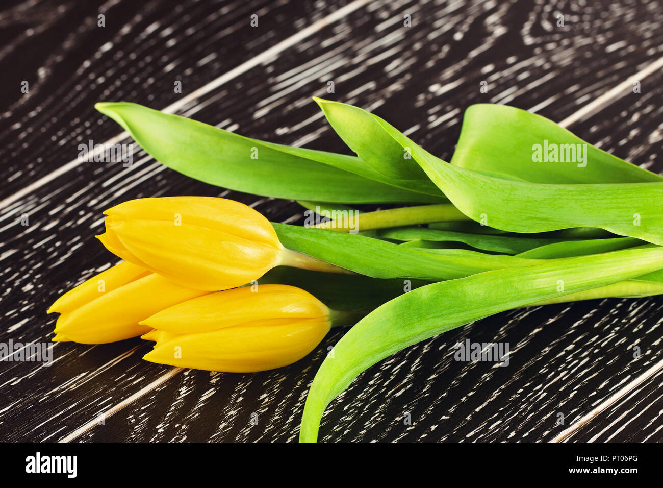 yellow tulip flowers bouquet on wooden background Stock Photo