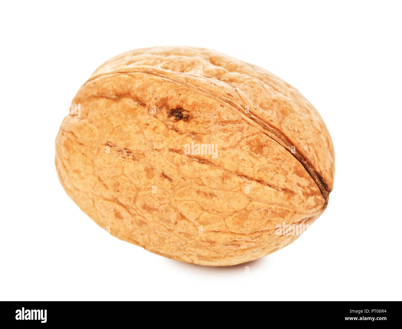 single walnut in a shell, isolated on white background Stock Photo