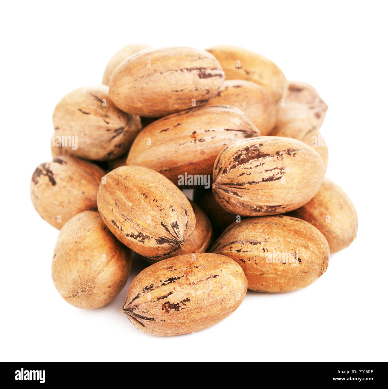 pecan nuts in a shell, isolated on white background Stock Photo