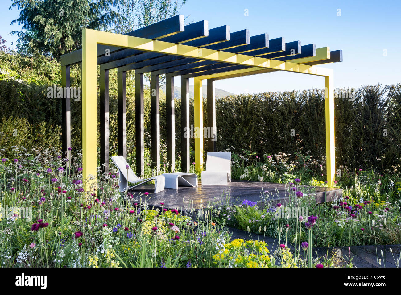 Steel framed pergola with painted timber roof, dark wooden patio deck with contemporary seating table, meadow style planting of Alliums spring UK Stock Photo