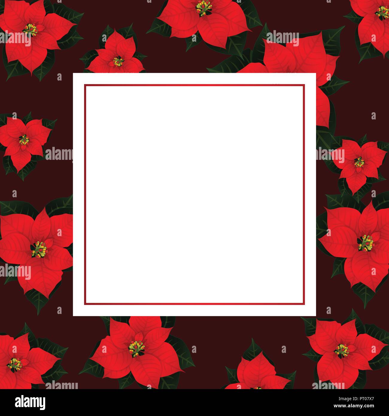 Red Poinsettia on Red Banner Card Background. Vector Illustration. Stock Vector