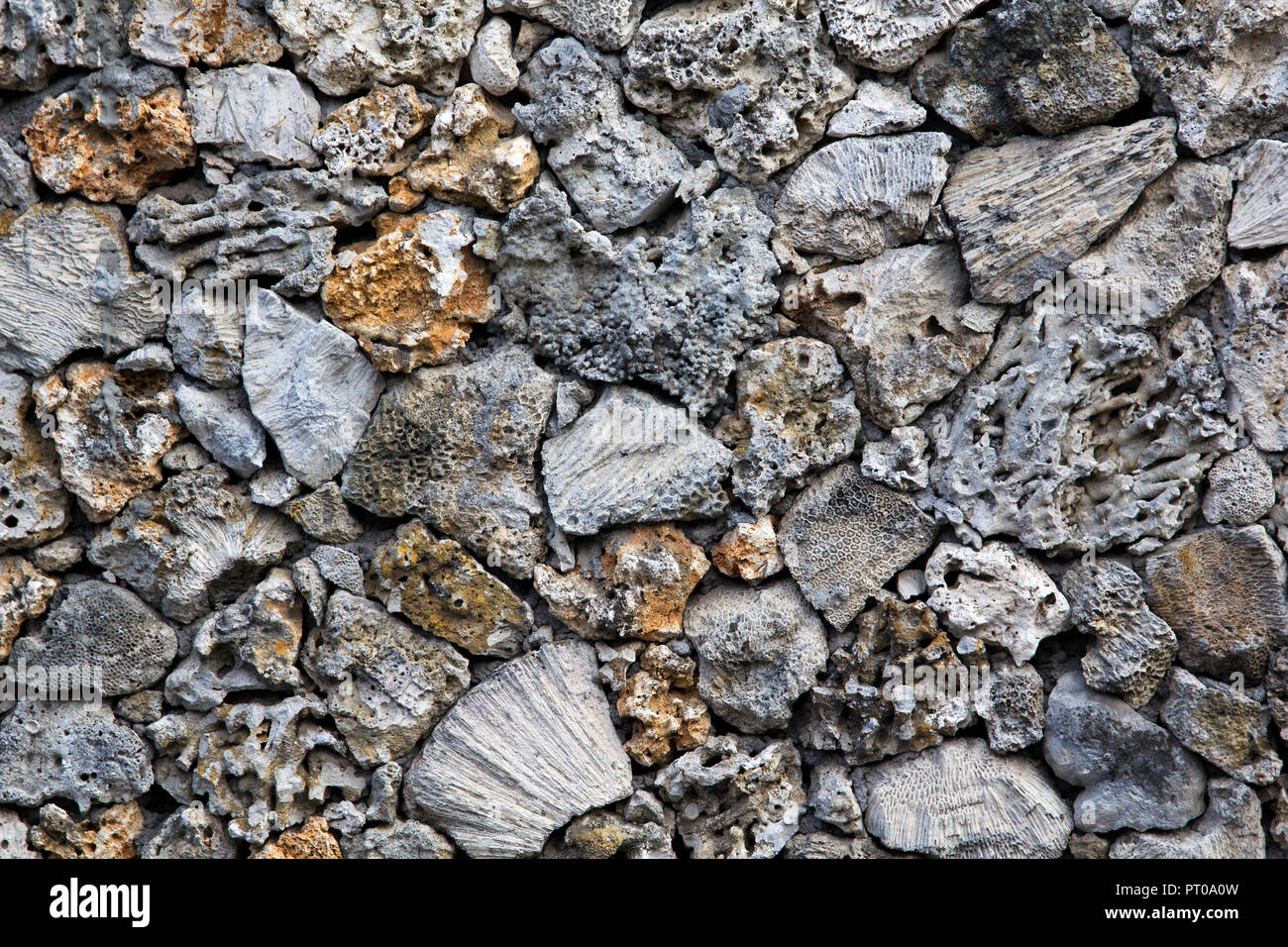 Wall made from coral pieces Stock Photo