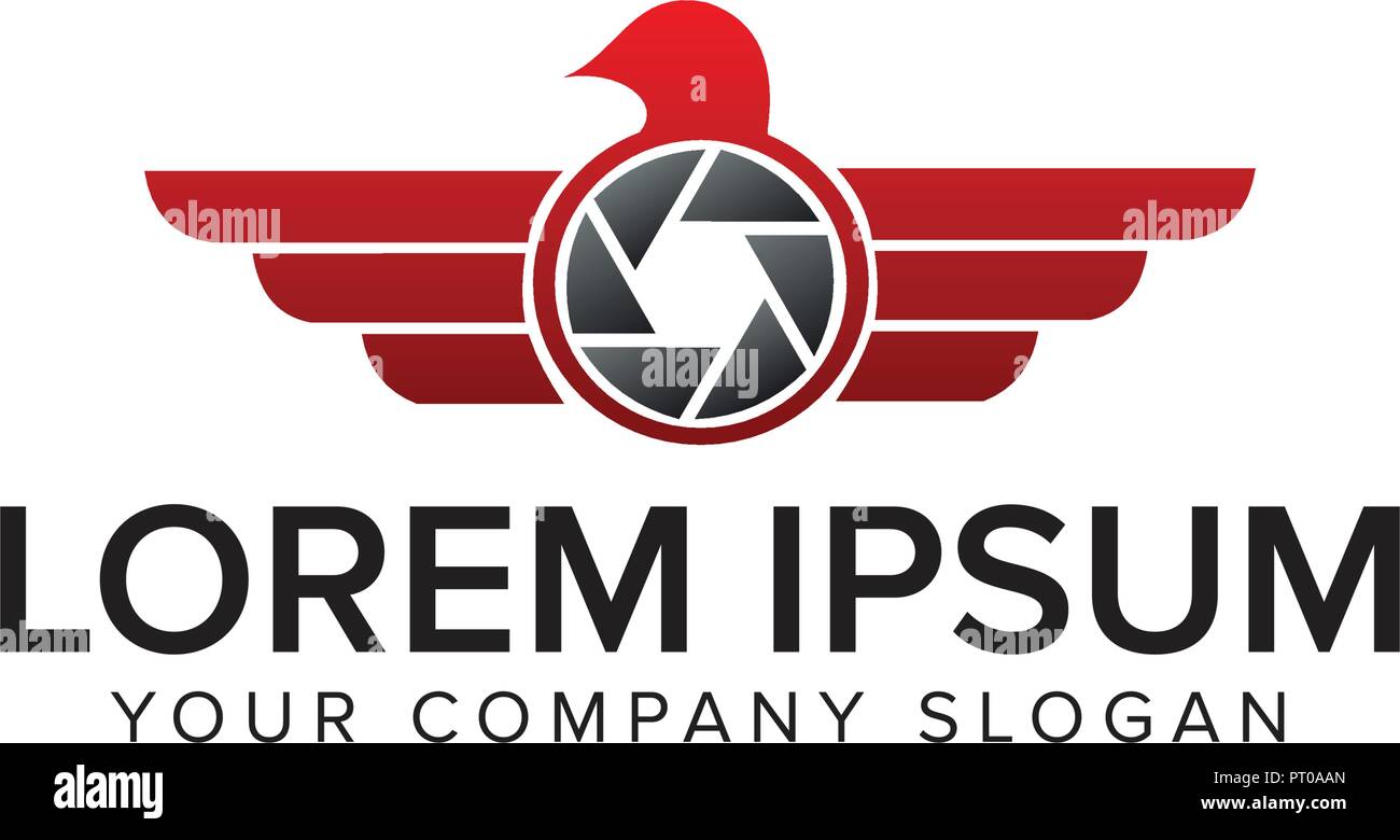 photo wing logo. drone logo design concept template Stock Vector