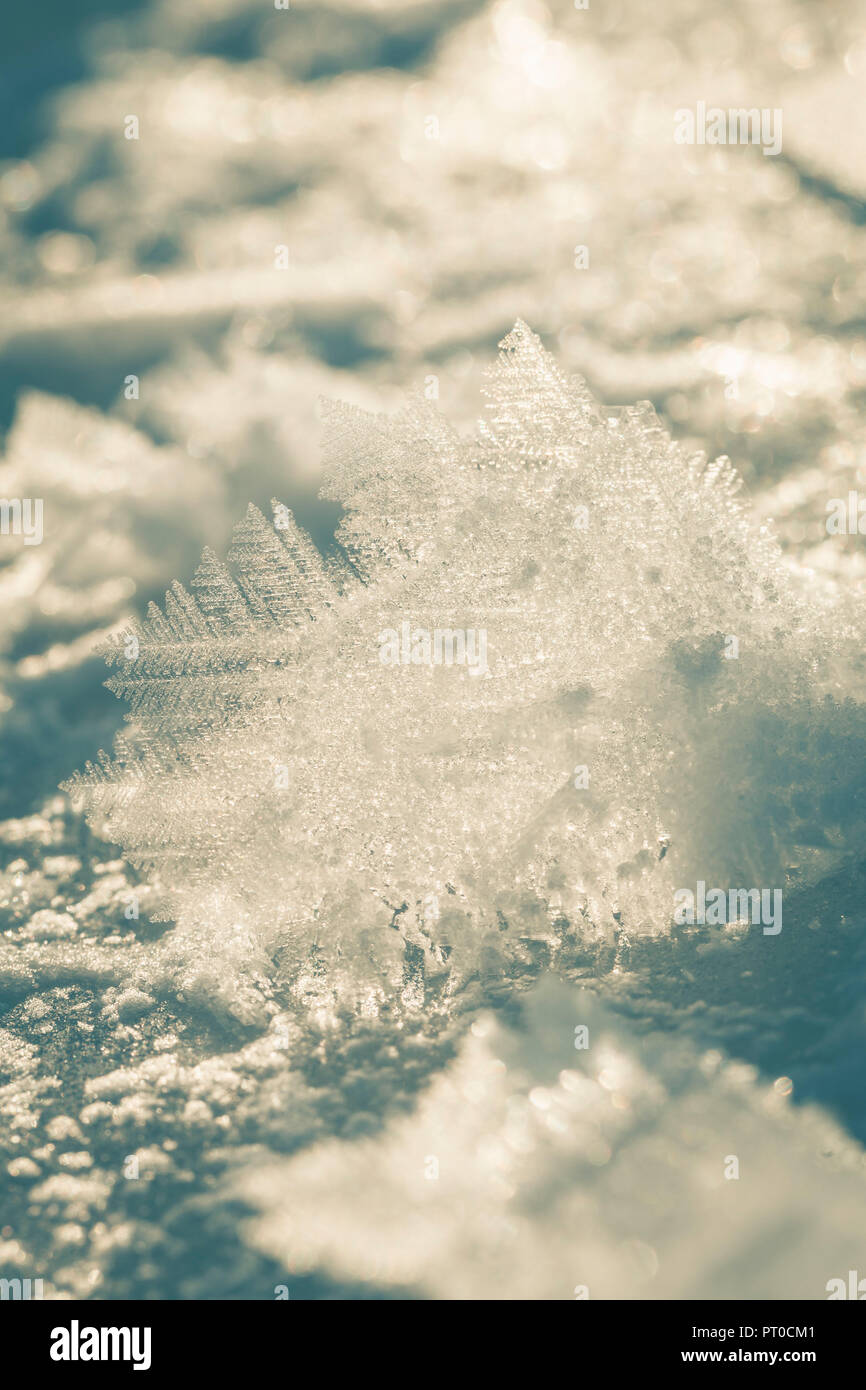 Close-up of an ice crystal in the winter. Stock Photo