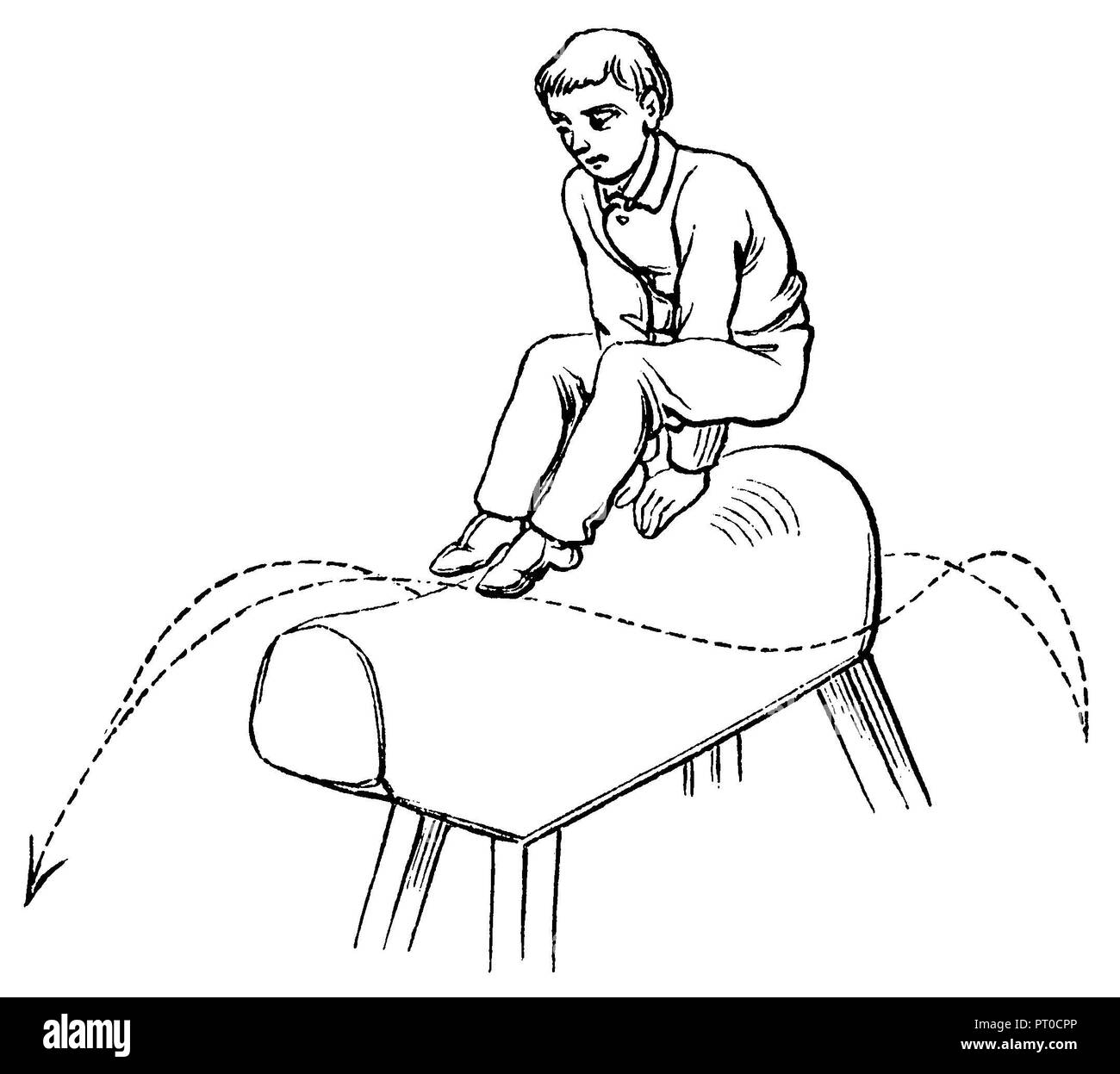 Gymnastics, exercises horse jumping. Behind jumps. Cats giant leap