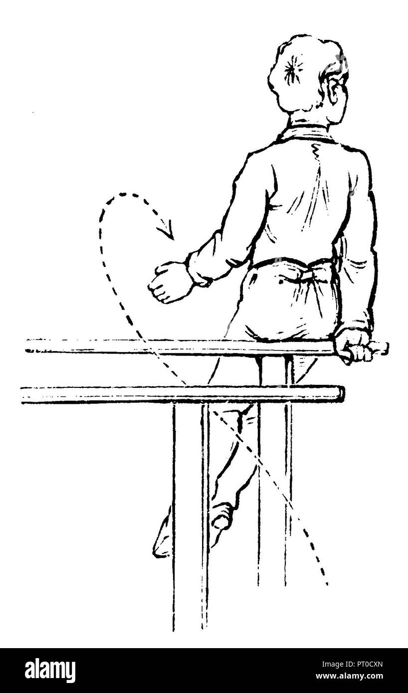 Gymnastics, bar exercises outside seat, 1890 Stock Photo Alamy