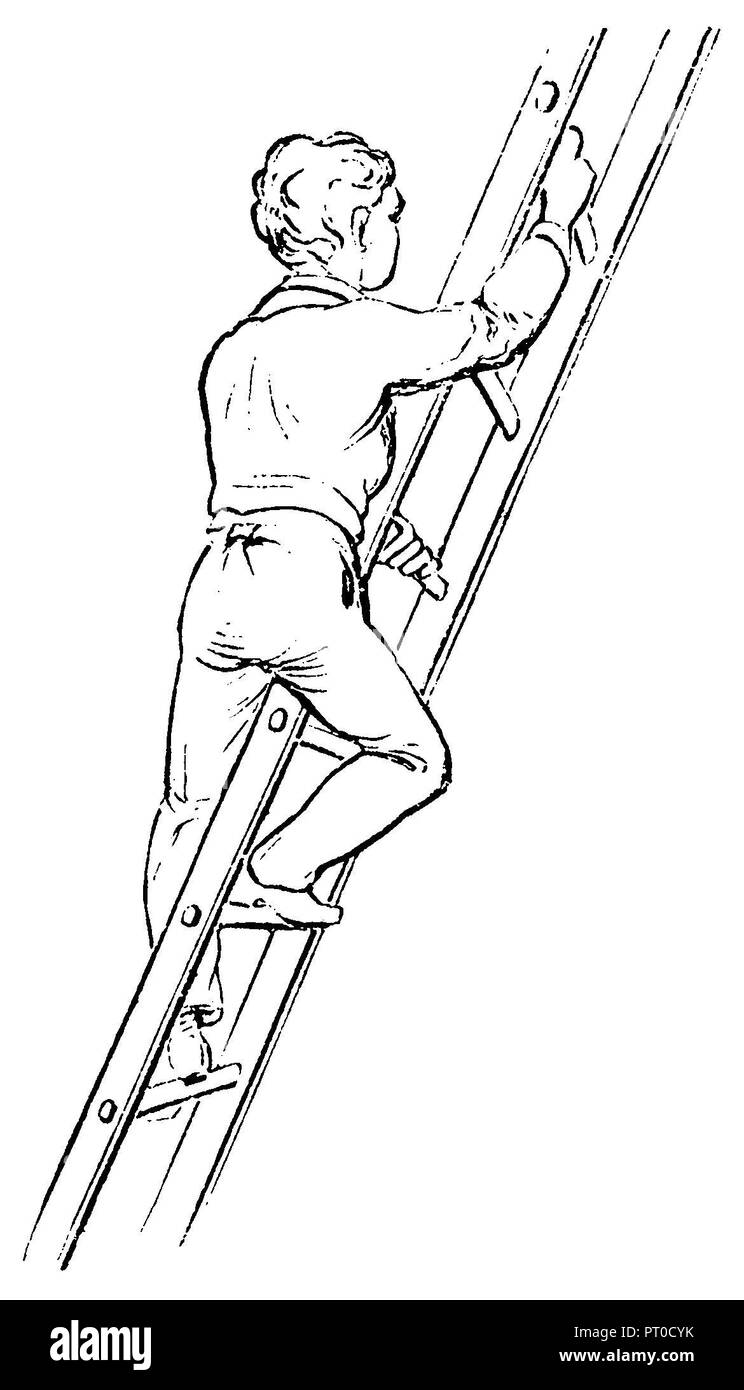 Gymnastics, exercises on the horizontal ladder climbing on a ladder