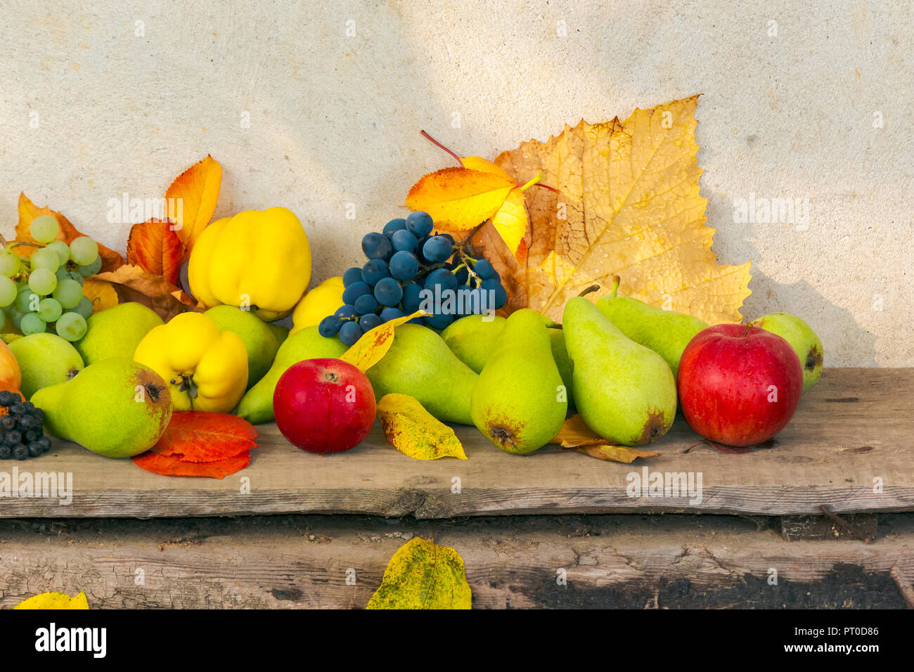 autumn harvest background. lots of fruits on the wooden desk Stock Photo