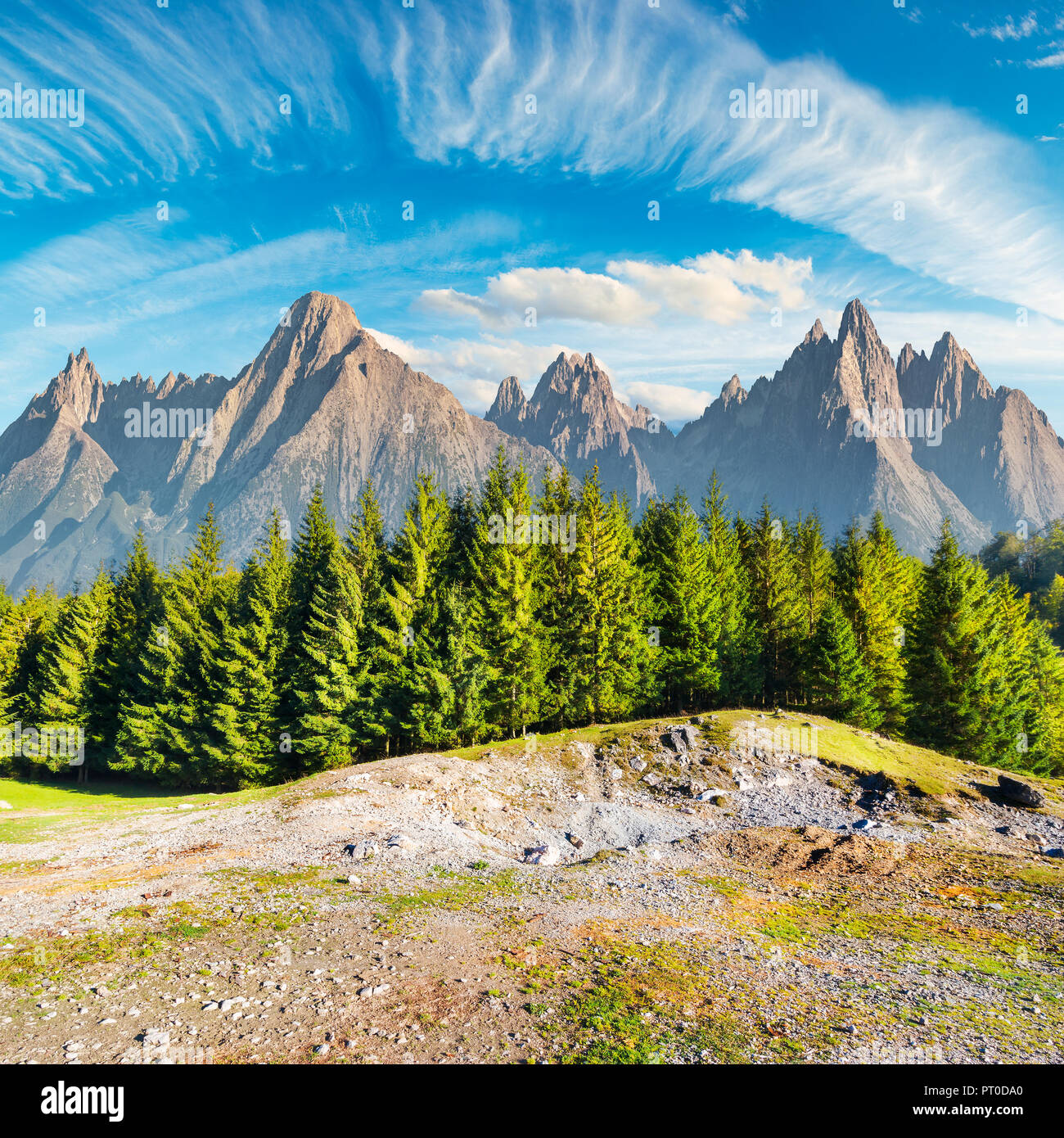 composite image of High Tatra mountains. spruce forest in front and ...