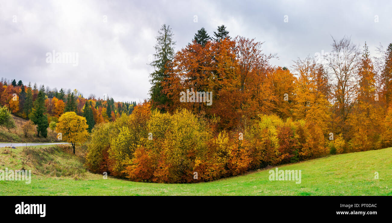 panorama of autumn countryside on a rainy day with overcast sky. beautiful colorful scenery Stock Photo