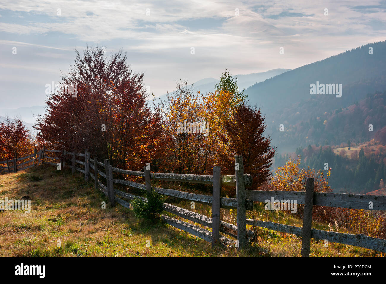 fence along the hill. trees in colorful foliage. lovely autumn scenery in mountains Stock Photo