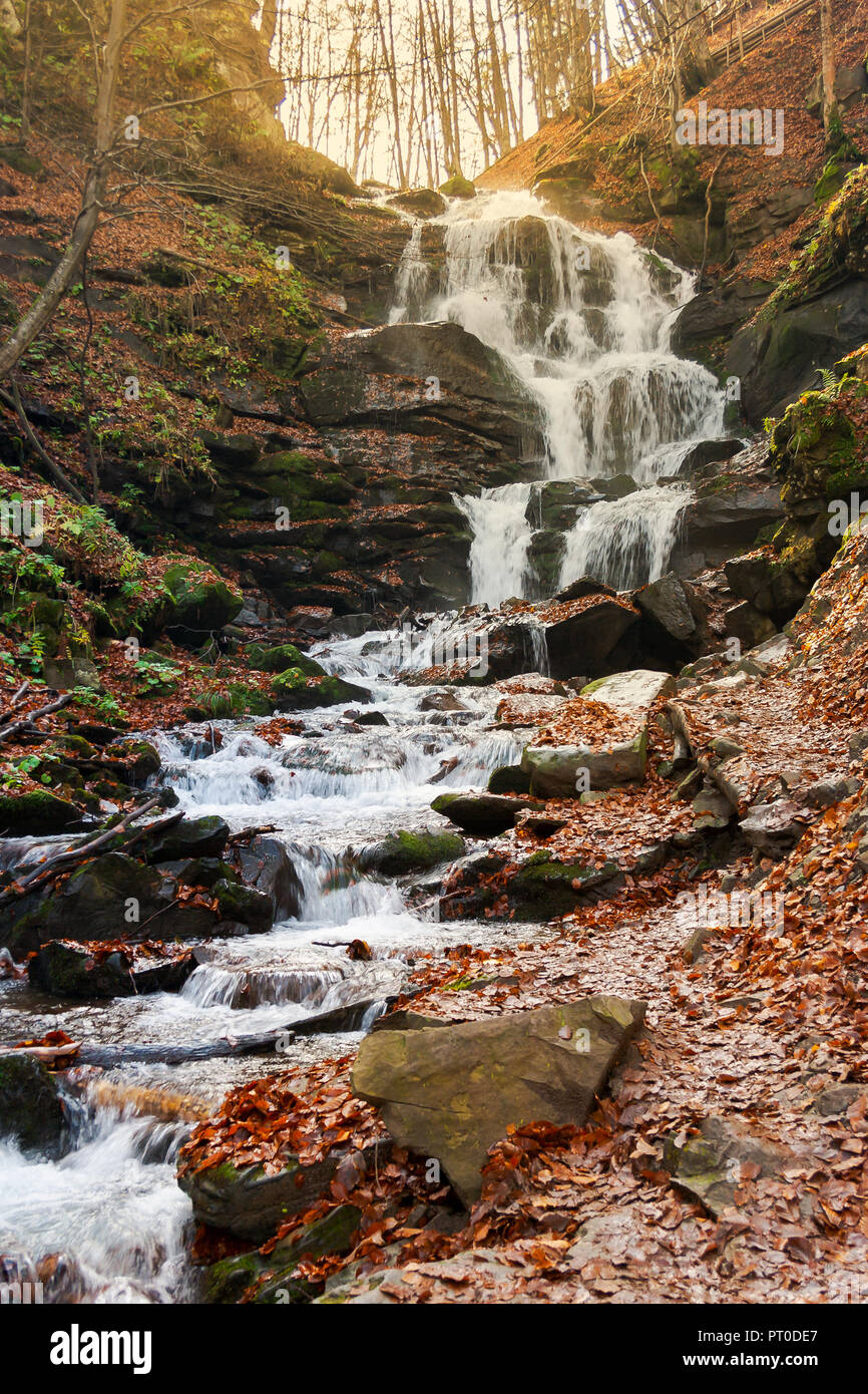 waterfall Shypot of Carpathian mountains in autumn. powerful stream of water. brown foliage on the rocks Stock Photo