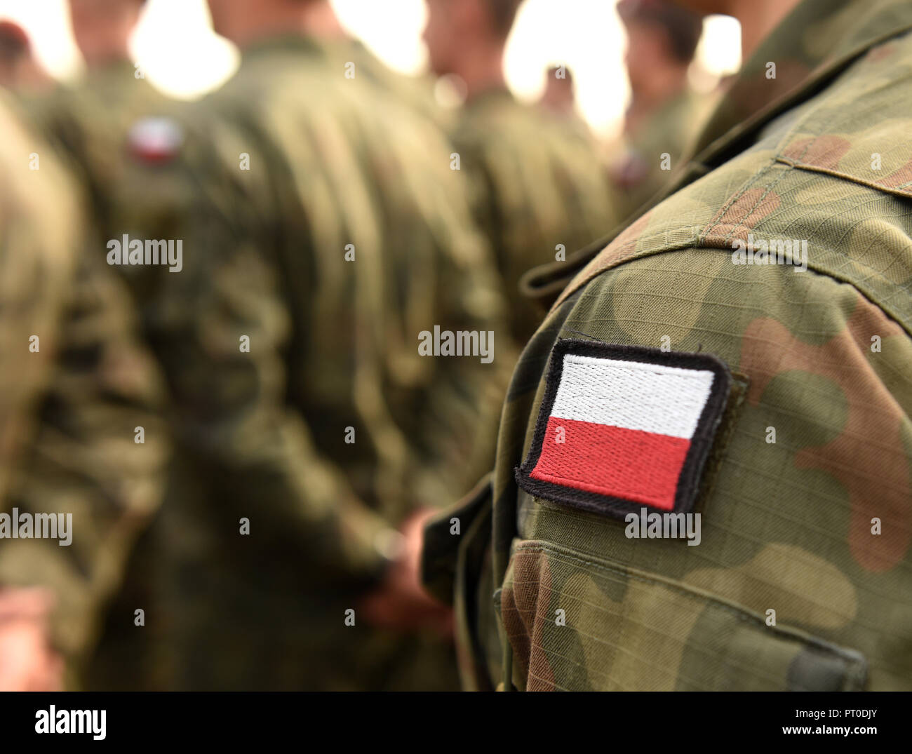 /Poland Polish Army Collar Badge MUSIC BAND