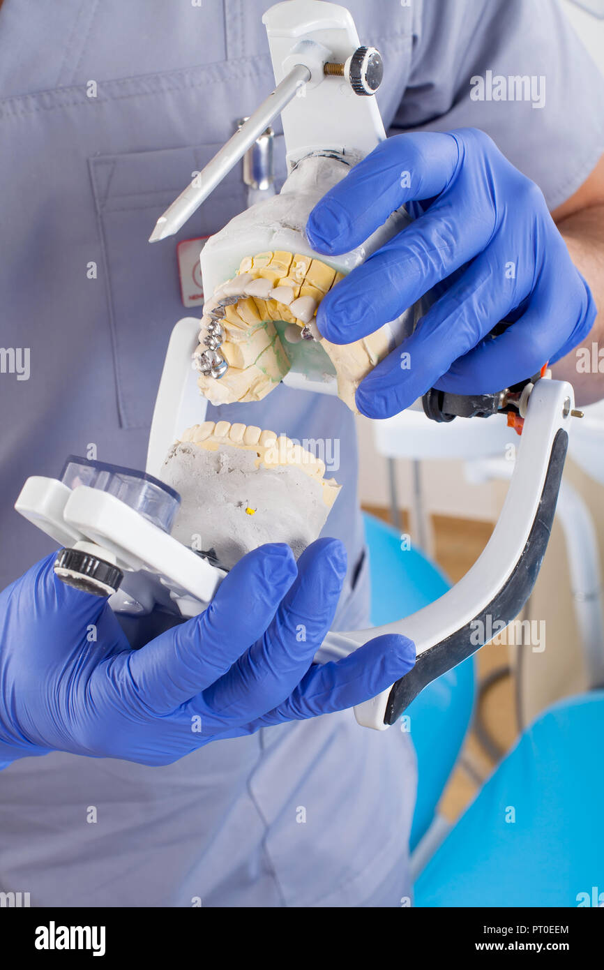 Dentist using dental articulator for a correct occlusion Stock Photo