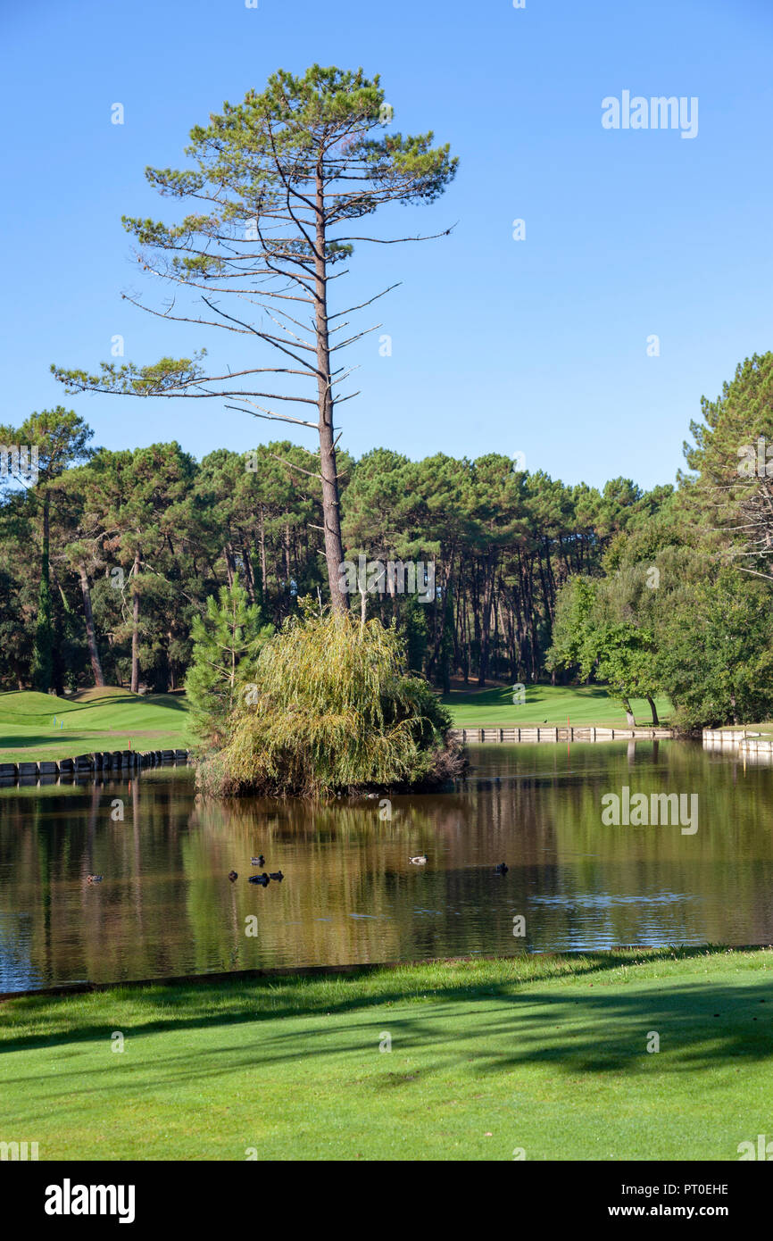 The 18 holes par 72 golf course of Seignosse (Landes - France). Designed by American Architect Robert Van Hagge, it is a true work of art. Stock Photo