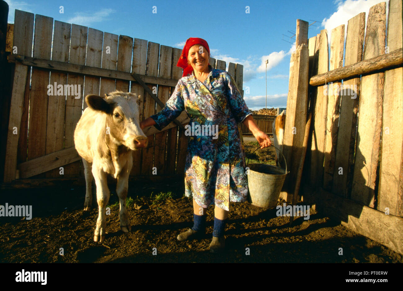 Kodinsk, Krasnoyarsk Krai ,Siberia , Russia - Woman peasant farmer with cow at her farm Stock Photo